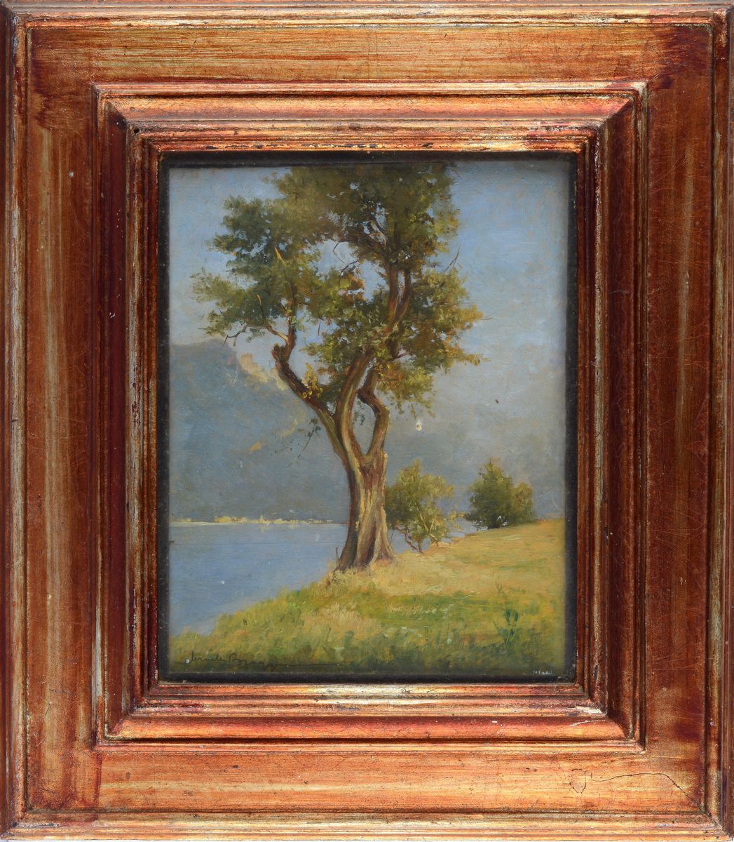 Paesaggio lacustre con alberi