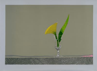 Un fiore in un bicchiere d'acqua
