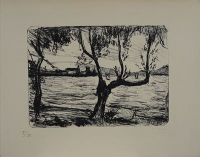Ulivi del Garda