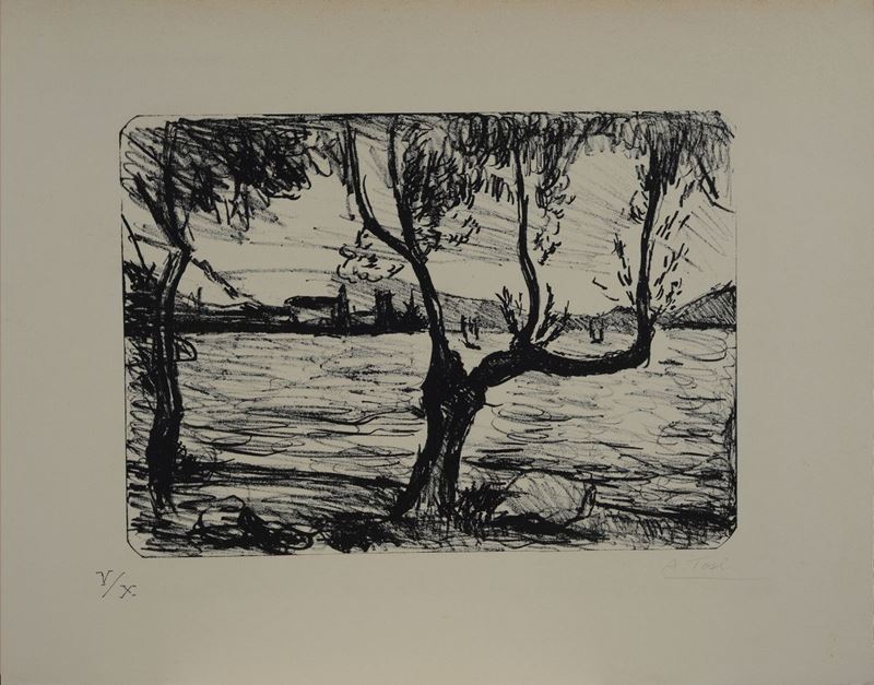 Arturo Tosi - Ulivi del Garda