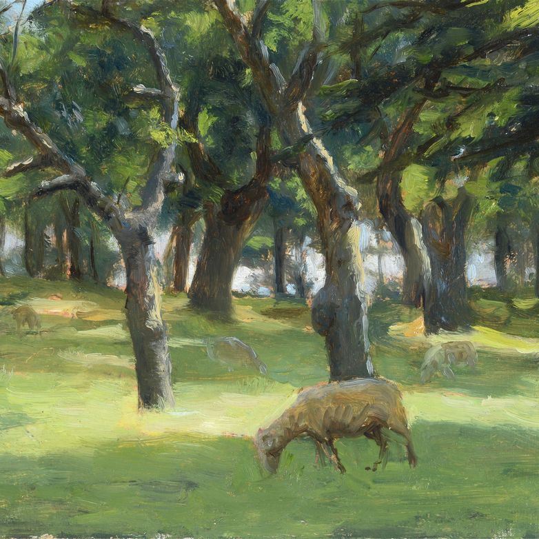 Giuseppe Magni - Paesaggio con Pecora