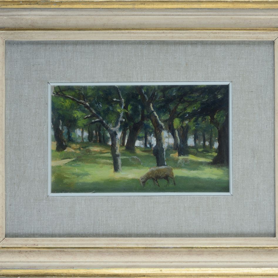 Paesaggio con pecora