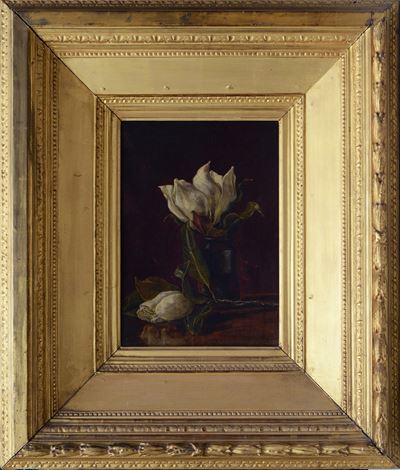 Fiore di Magnolia