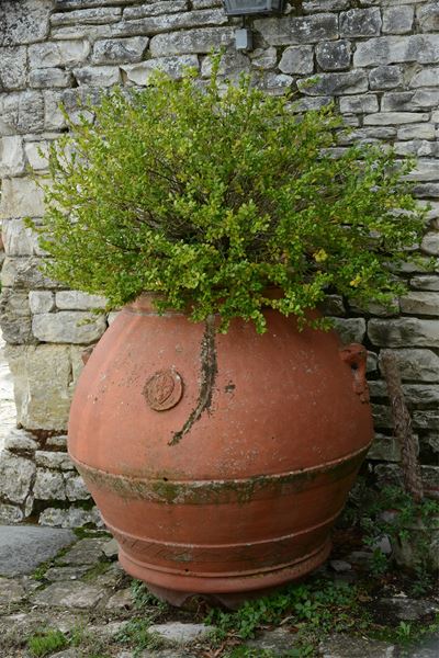 Orcio in Terracotta