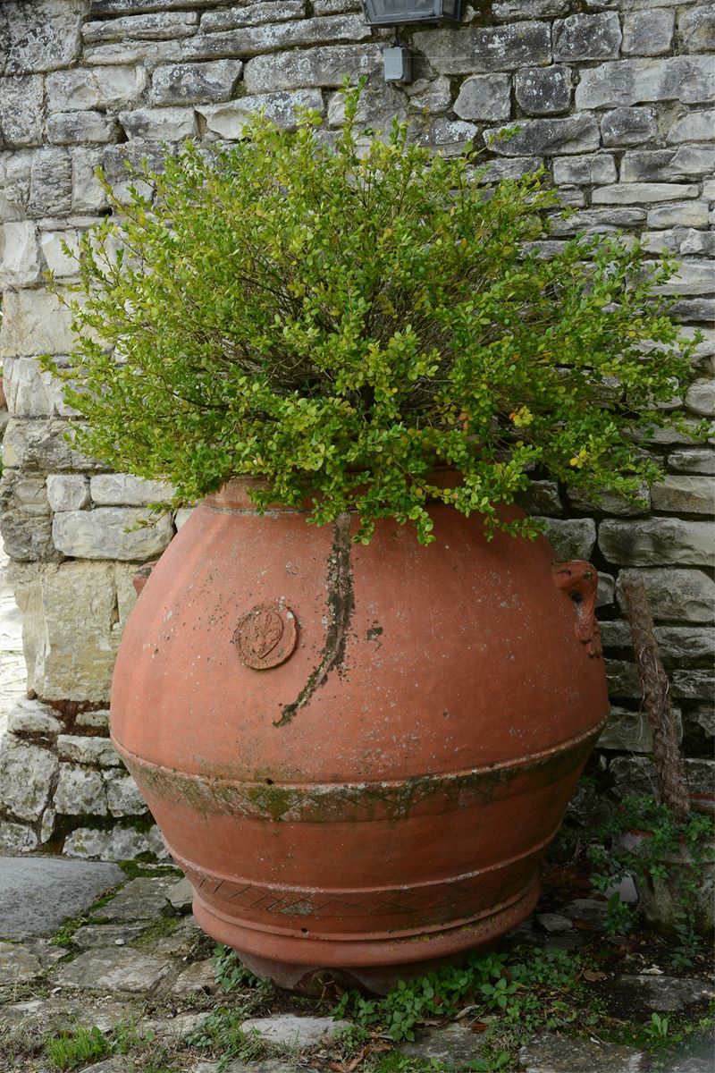 Orcio in Terracotta