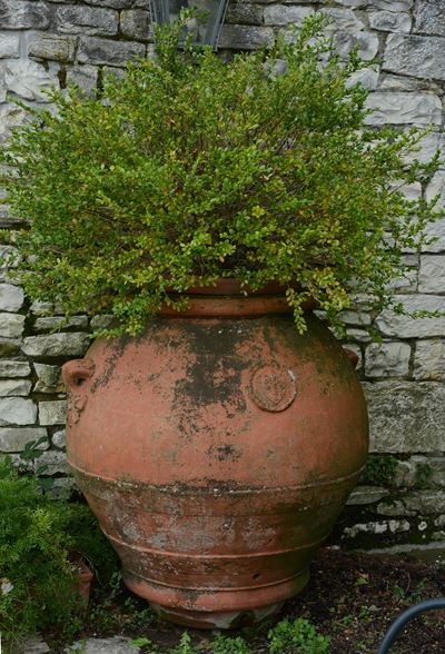 Orcio in Terracotta