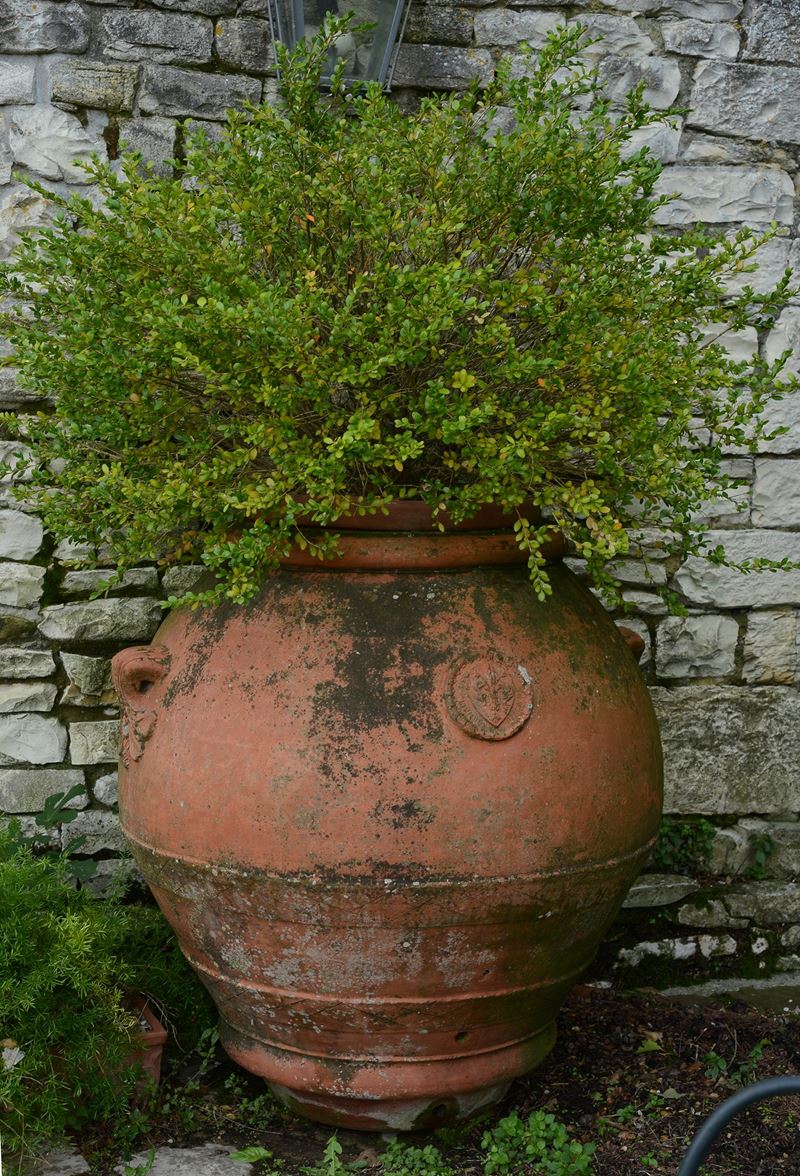 Orcio in Terracotta