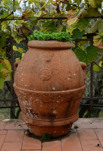 Orcio in Terracotta