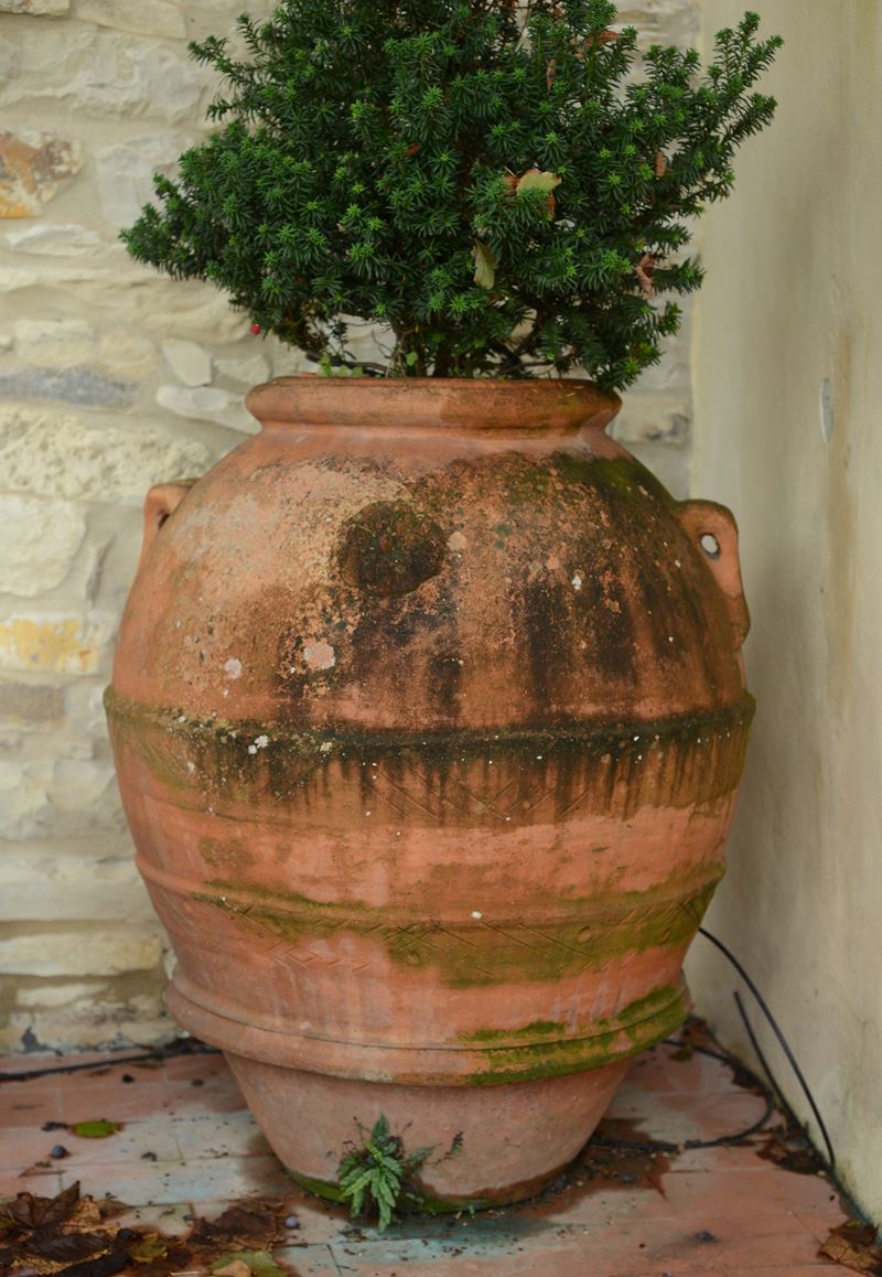 Orcio in Terracotta