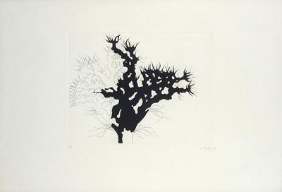 Albero