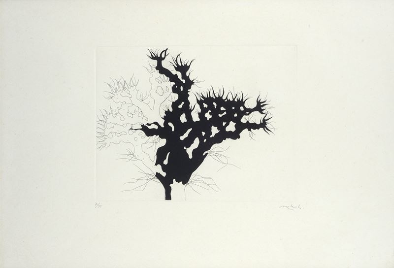 Carlo Mattioli - Albero