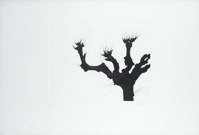Albero