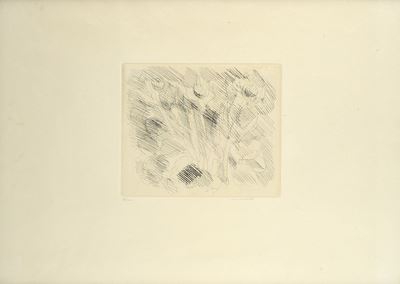Fiori