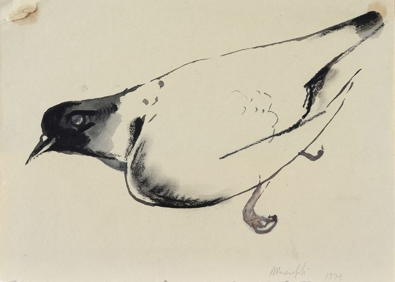 Alberto Manfredi - Piccione