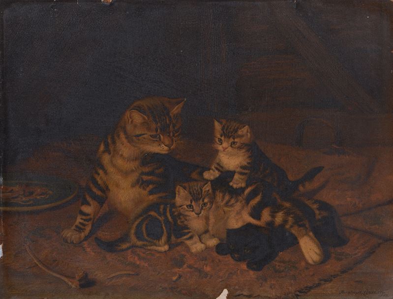 Anonimo, XX Sec. - Gattini