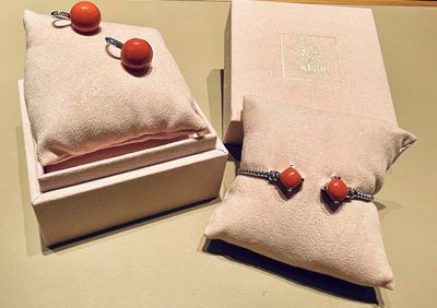 Bracciale Rigido e Orecchini