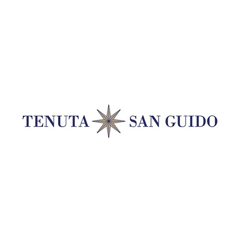 Tenuta San Guido - Sassicaia - Magnum Sassicaia 2019