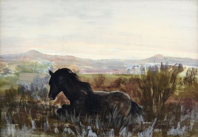 Paesaggio con Cavallo