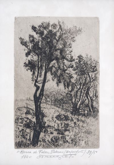 Bocca di Falco a Palermo