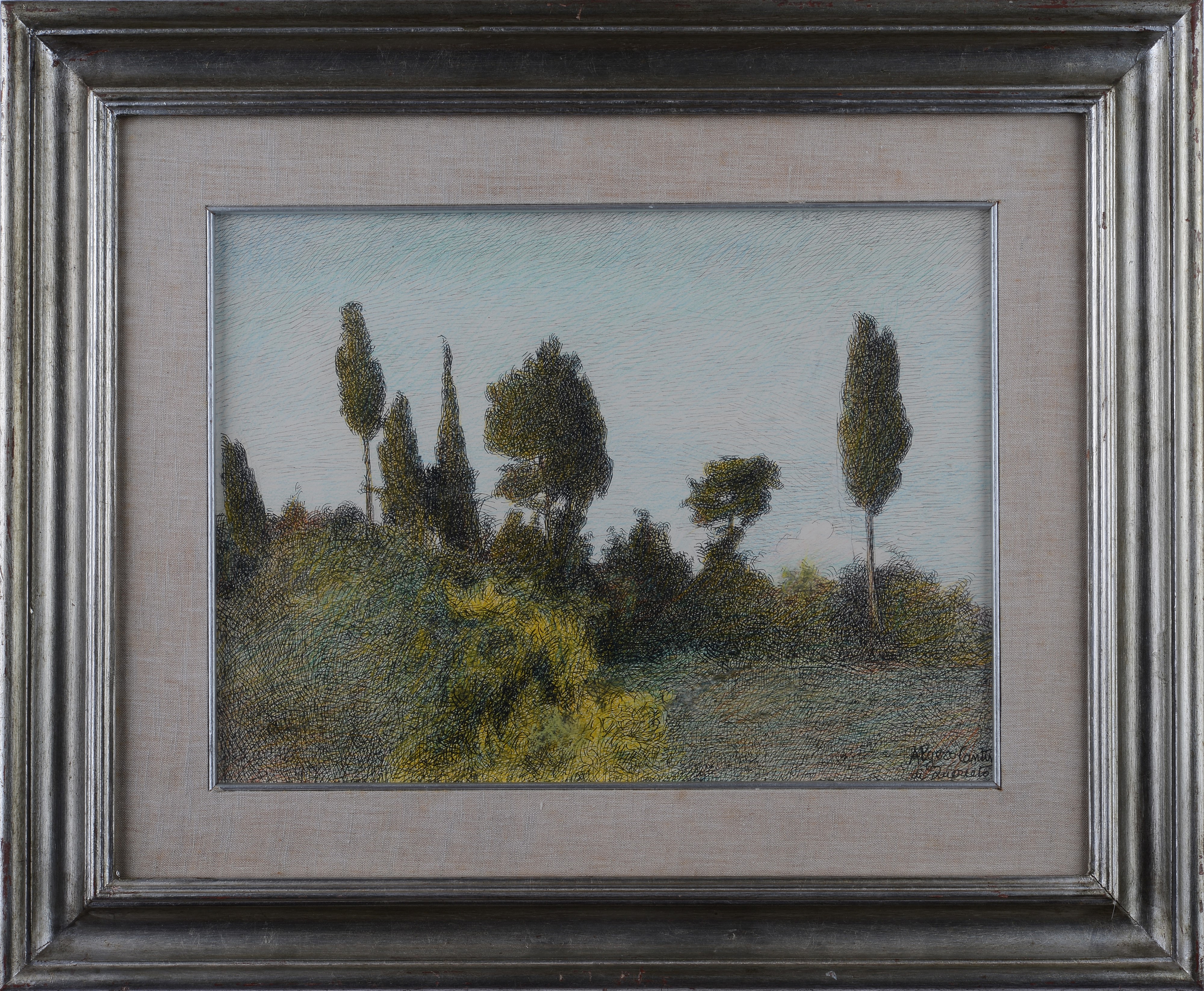 Algero Cantini - Alberi