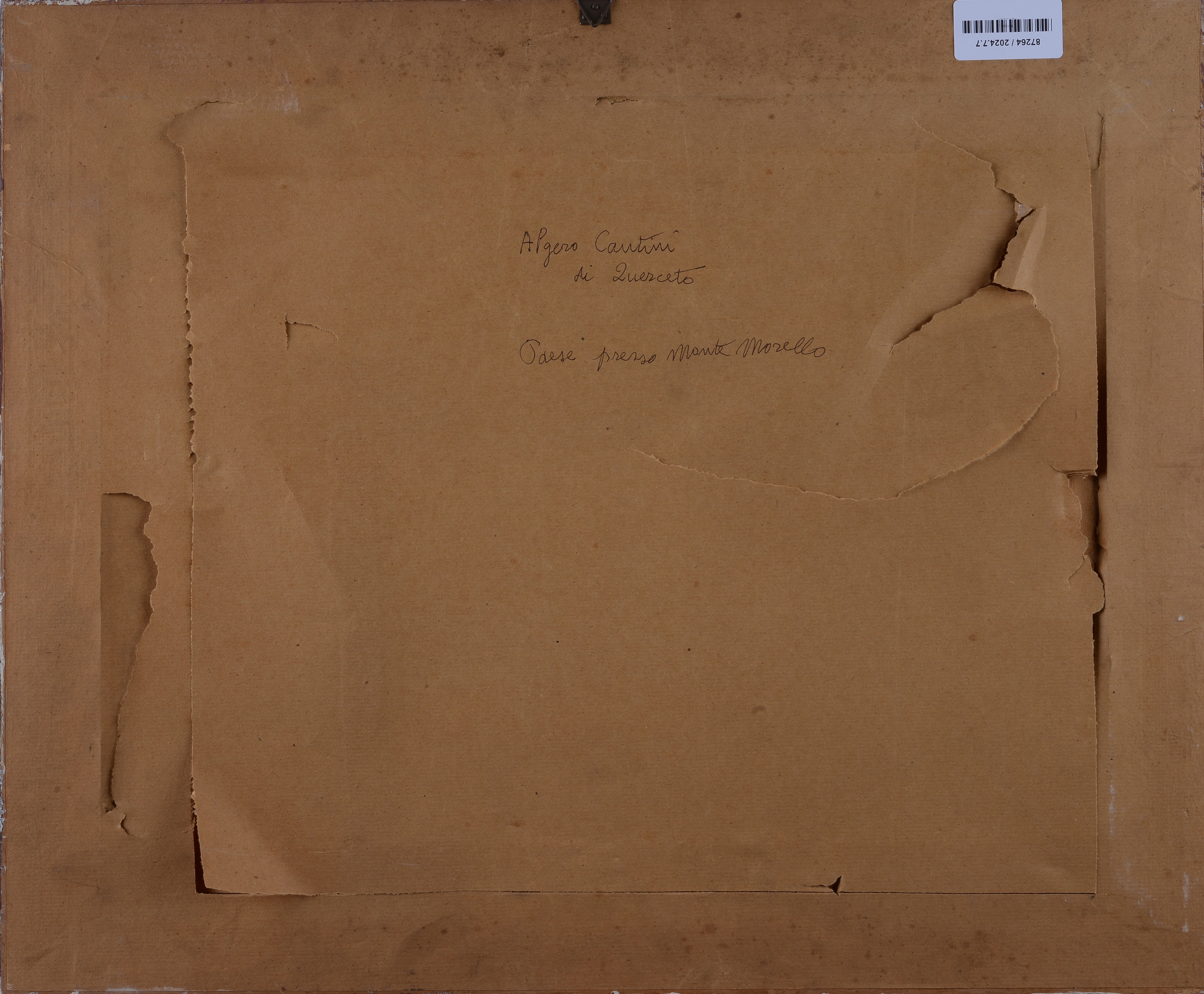 Algero Cantini - Alberi