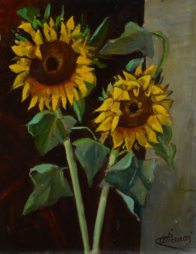 Girasoli