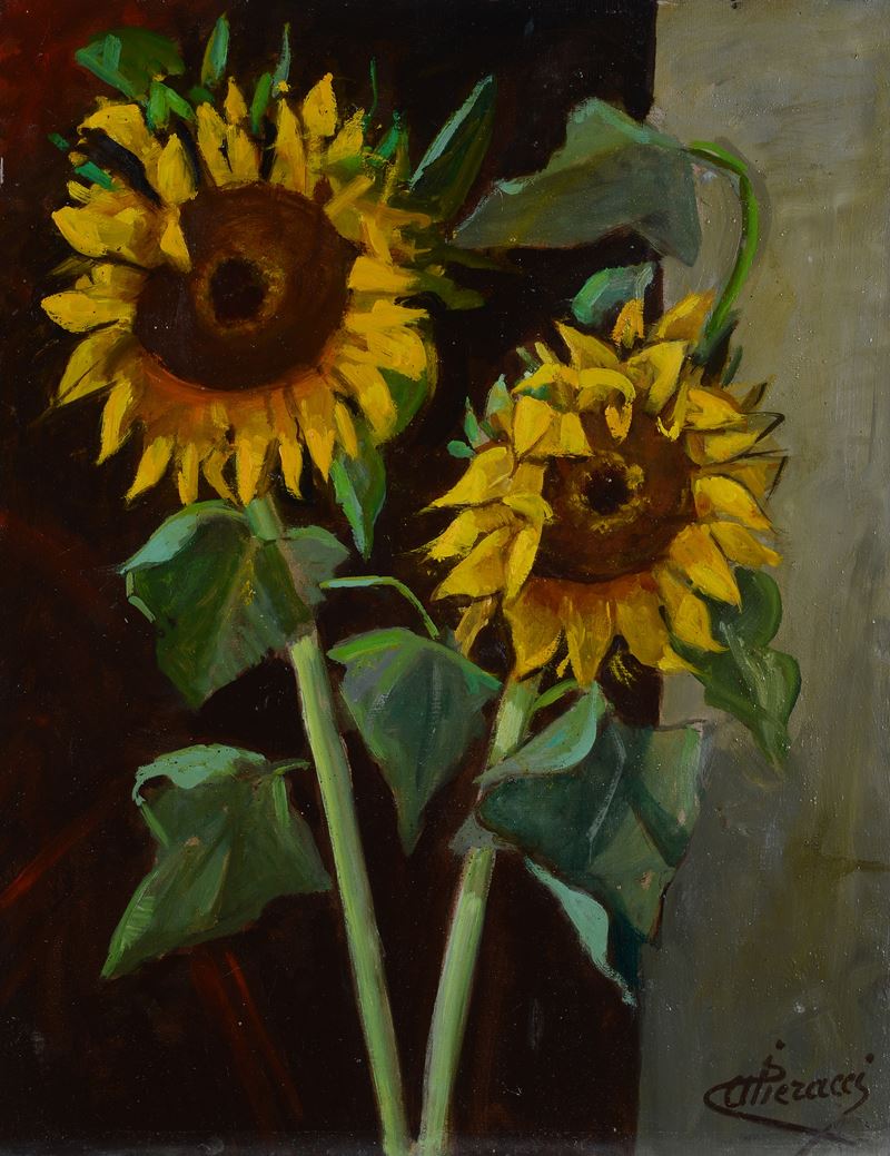 Alfredo Pieracci - Girasoli