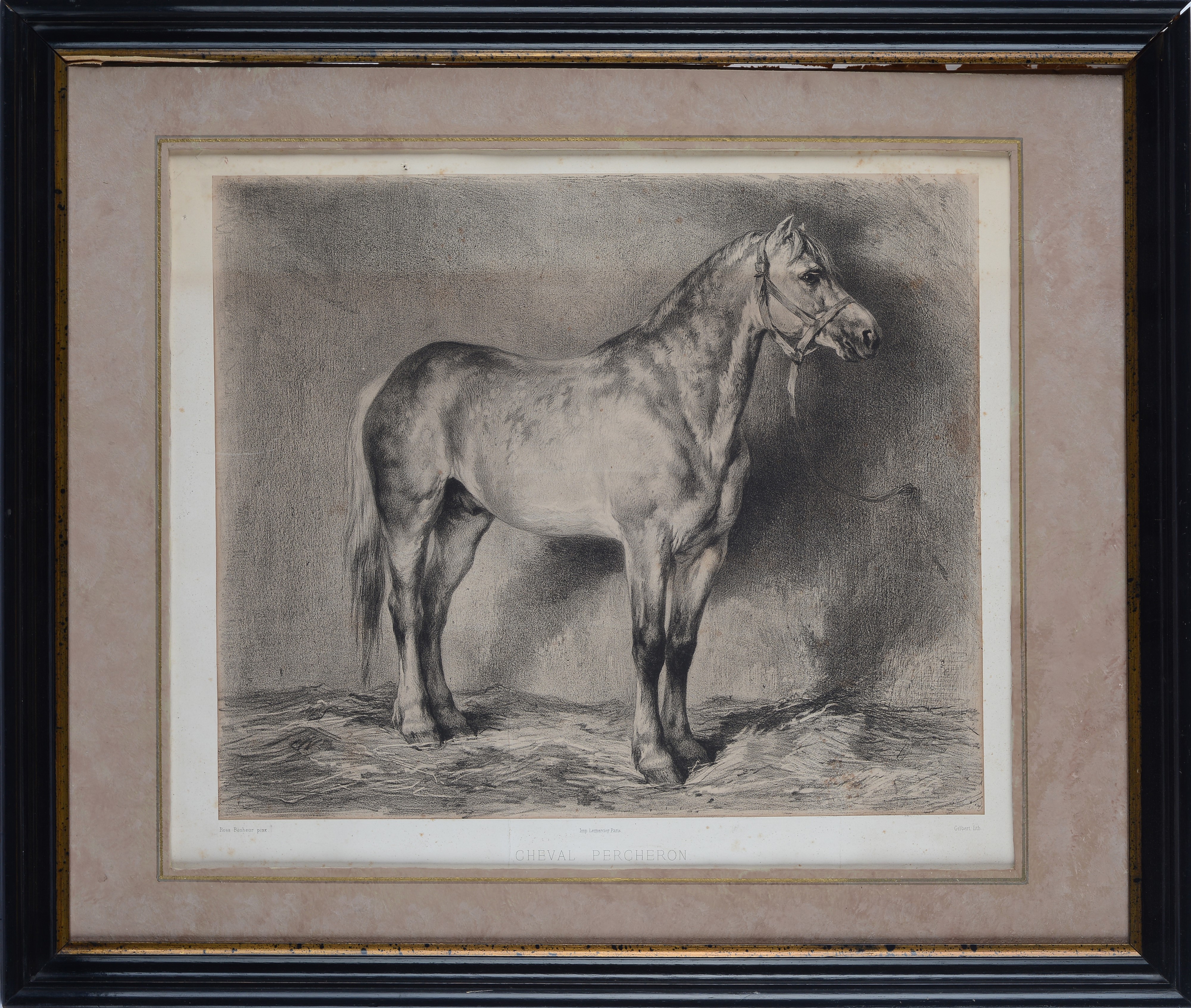 Cheval Percheron