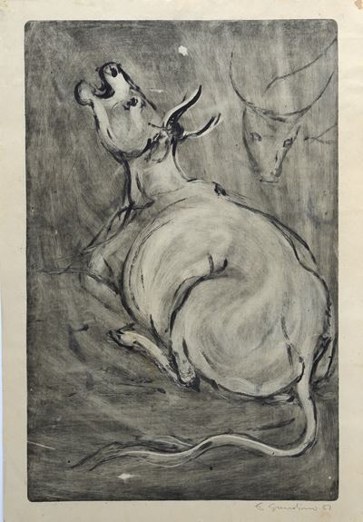 Cavallo / Mucca