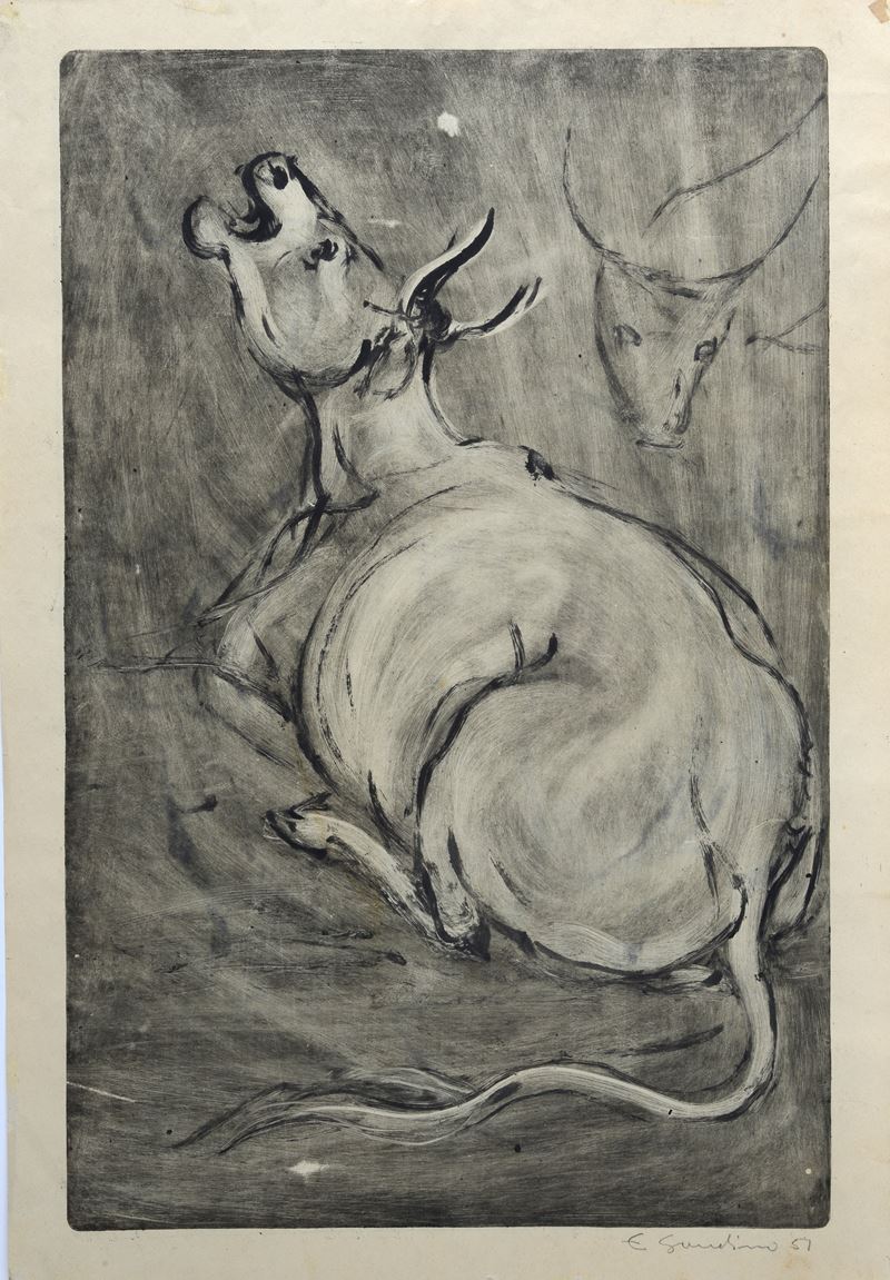 Cavallo / Mucca