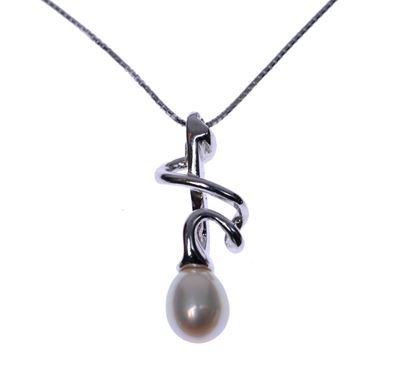 Collana in Oro Bianco con Pendente
