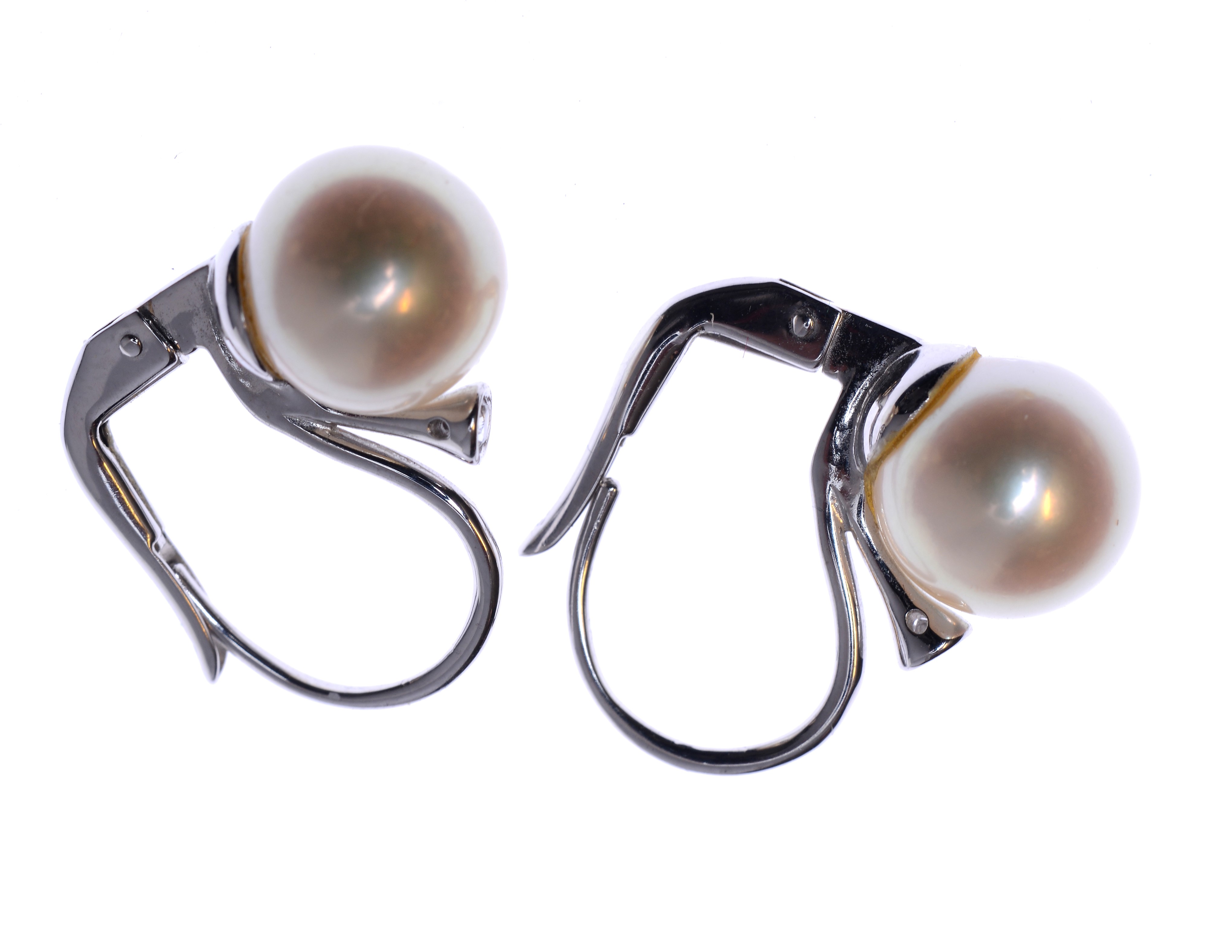 Collana in Oro Bianco con Pendente