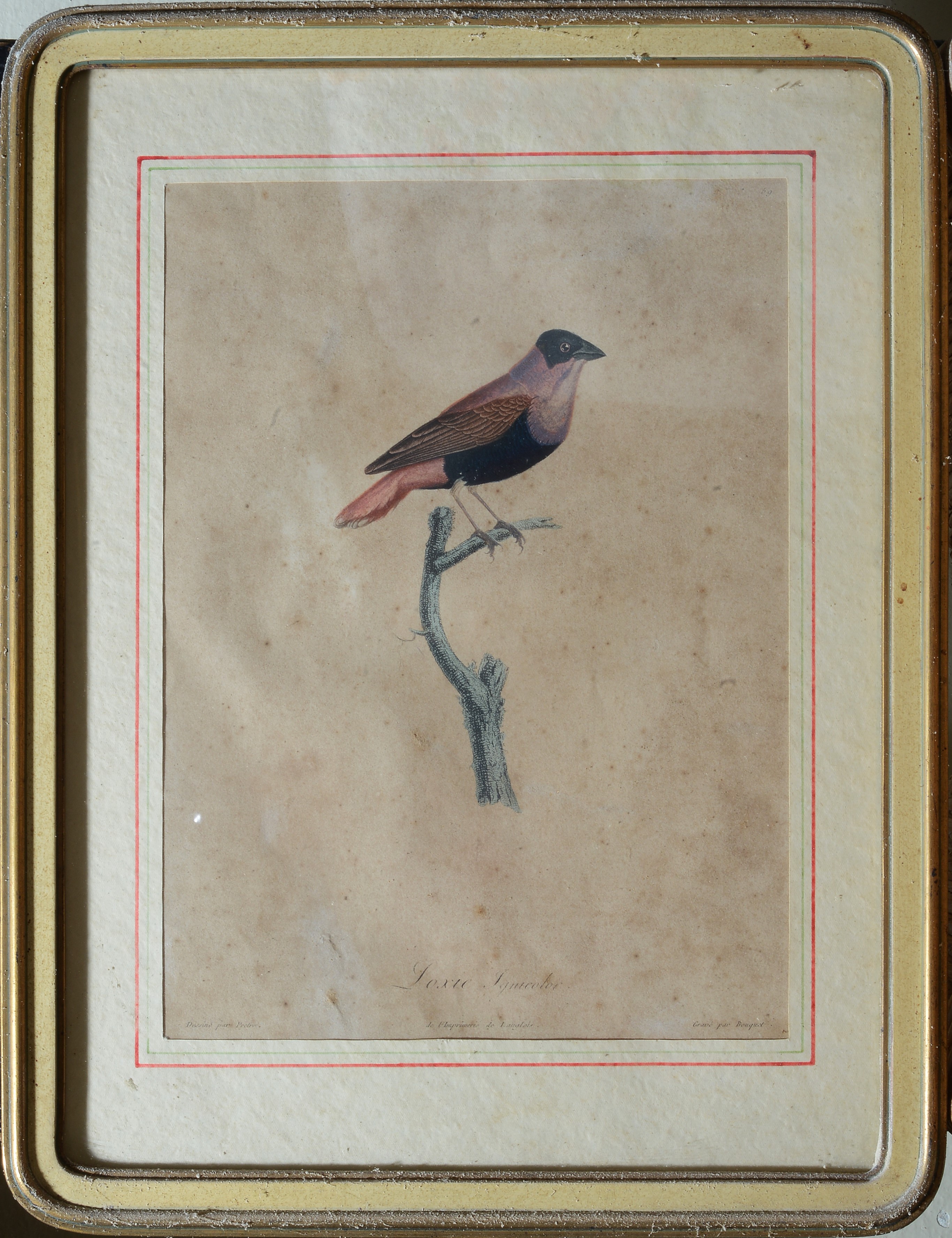 Serie di quattro stampe