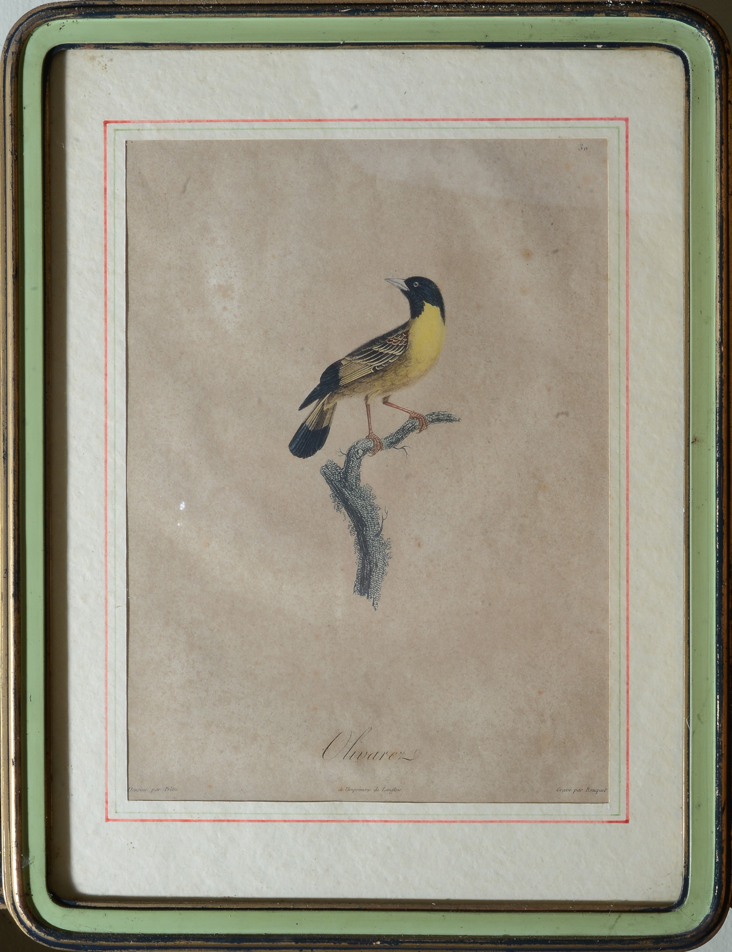 Serie di quattro stampe