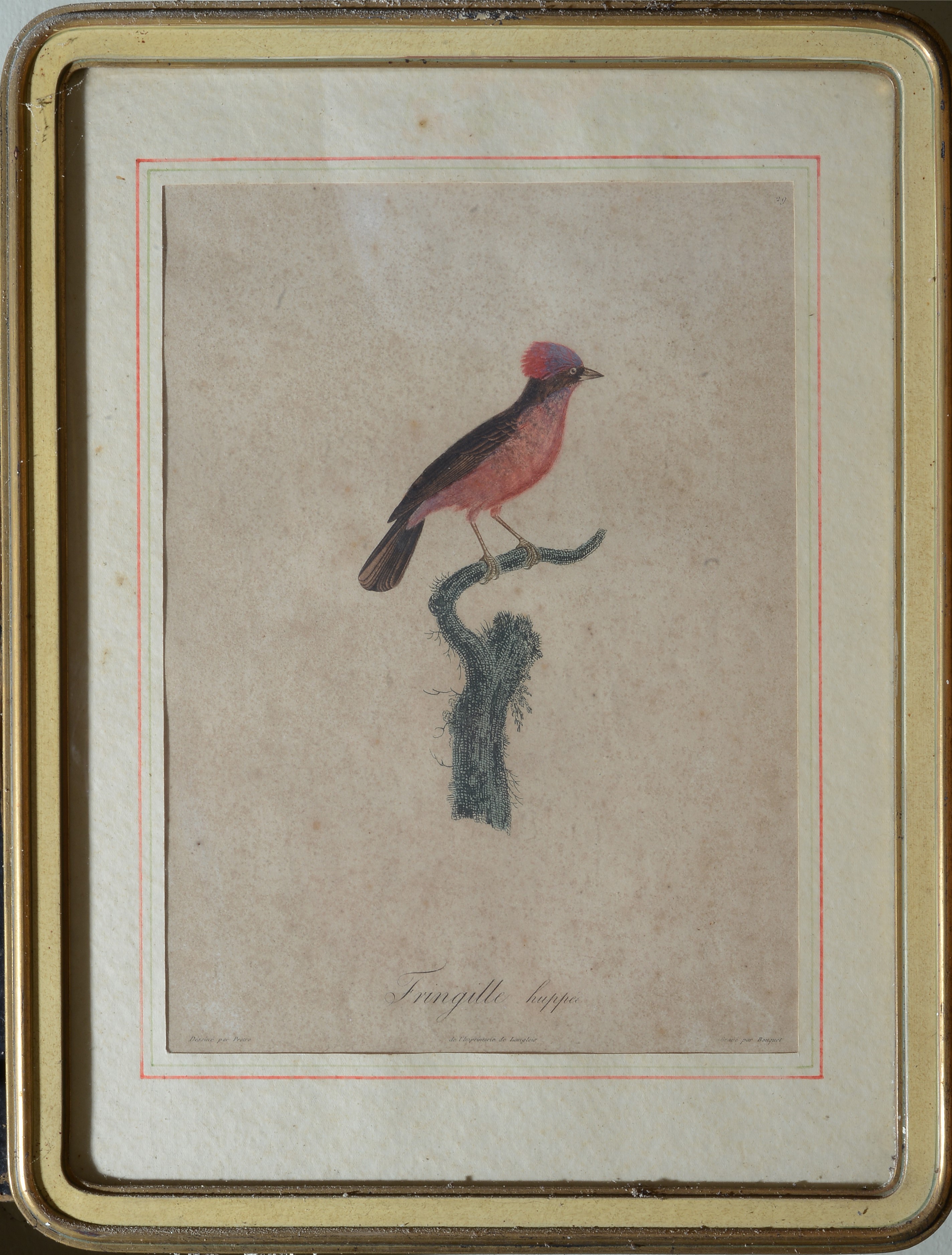 Serie di quattro stampe