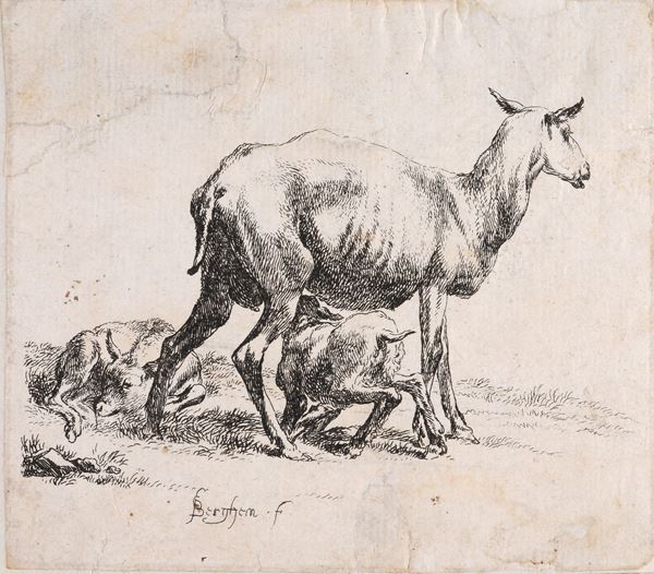 Nicolaes Berchem - Pecore