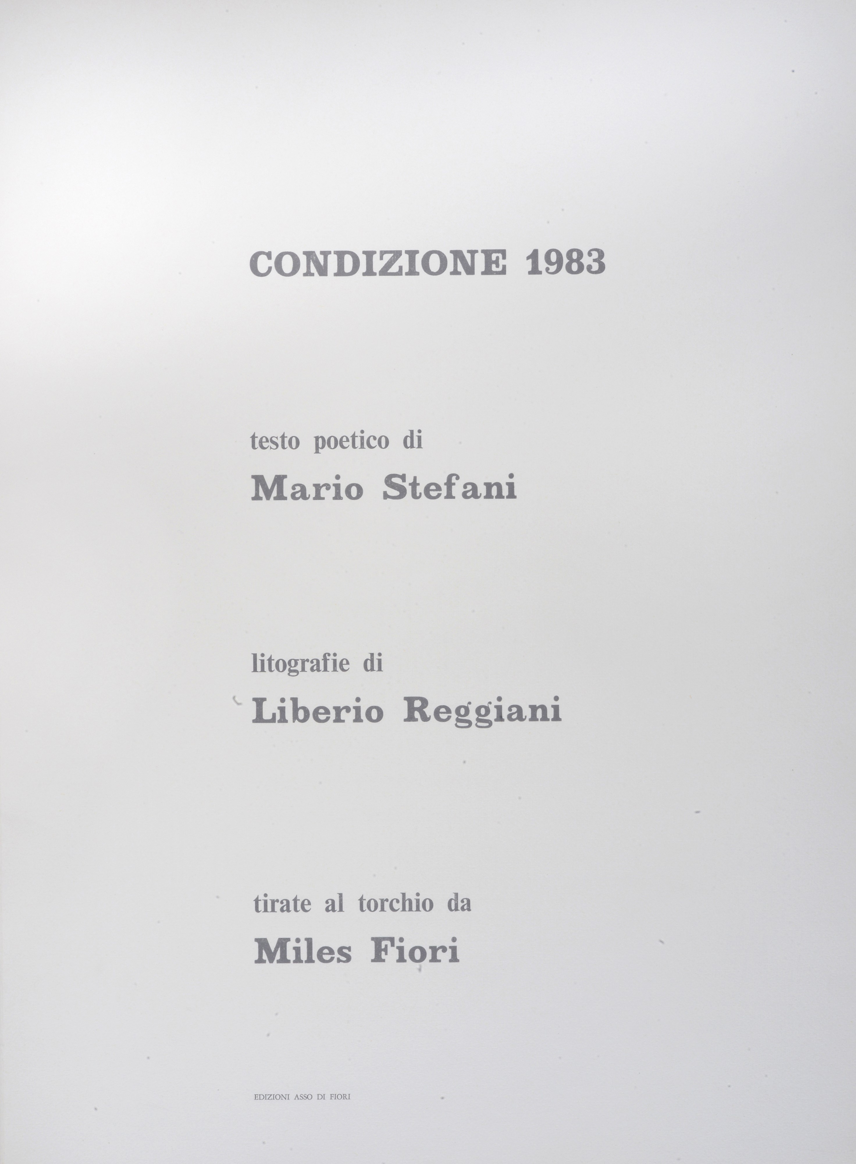 Liberio Reggiani - Condizione