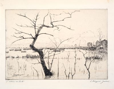 L'albero Contorto