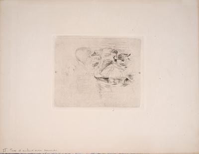 Cigni