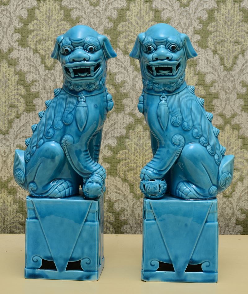 Cani di Pho