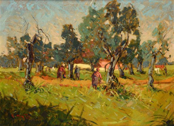Aldo Mazzi - Campagna