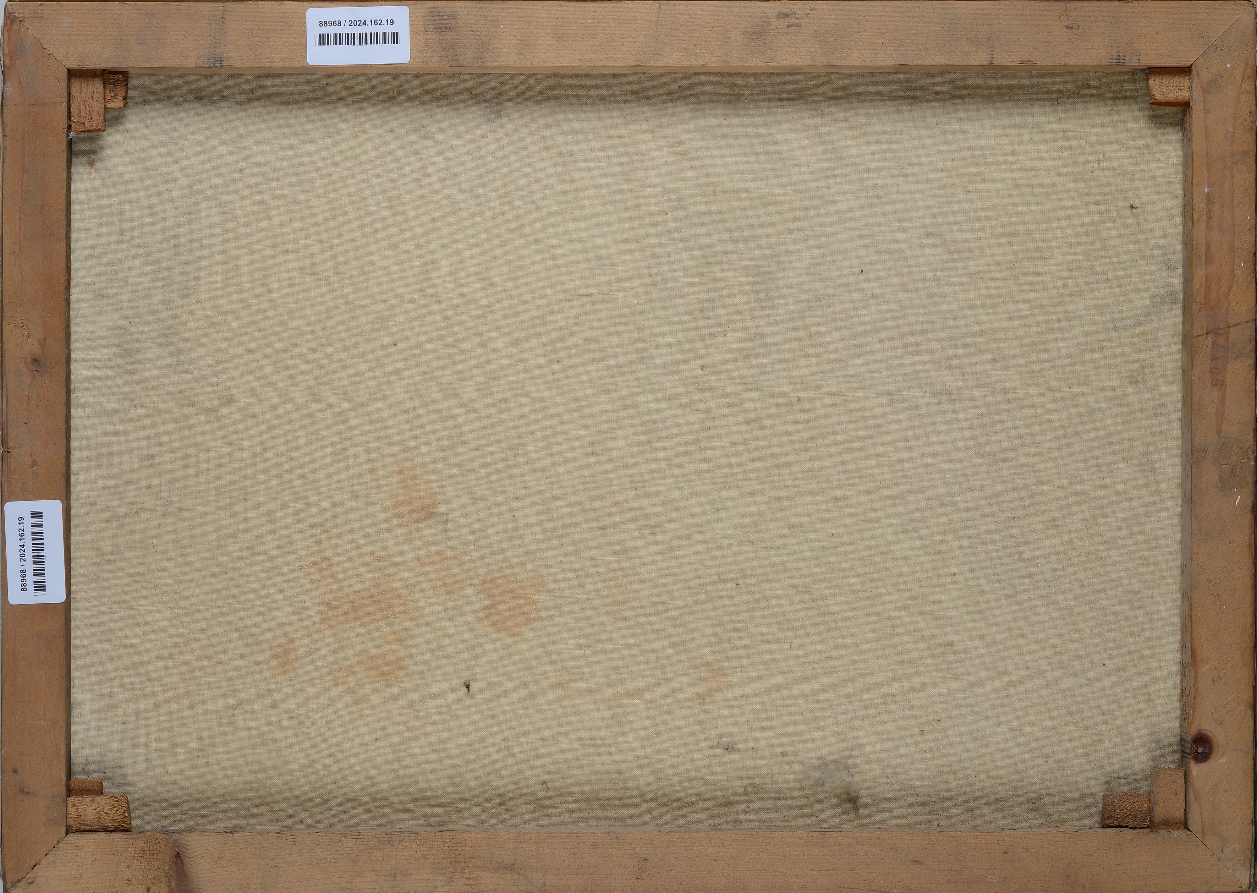 Natura morta con funghi e libri