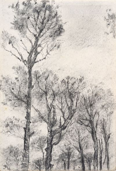 Paesaggio con Alberi