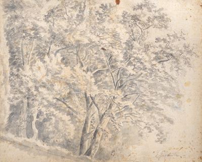 Paesaggio