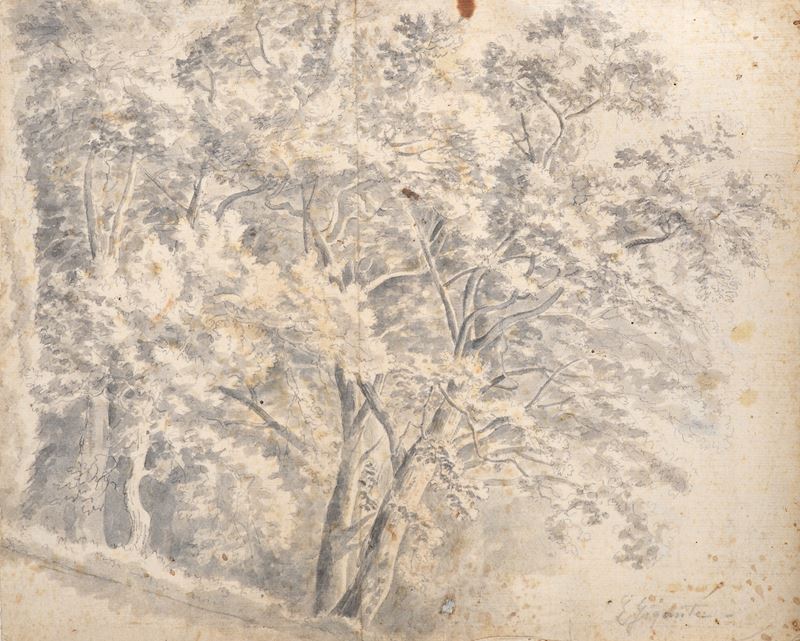 Giacinto Gigante - Paesaggio