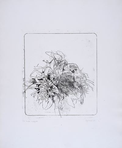 Uccello Impigliato
