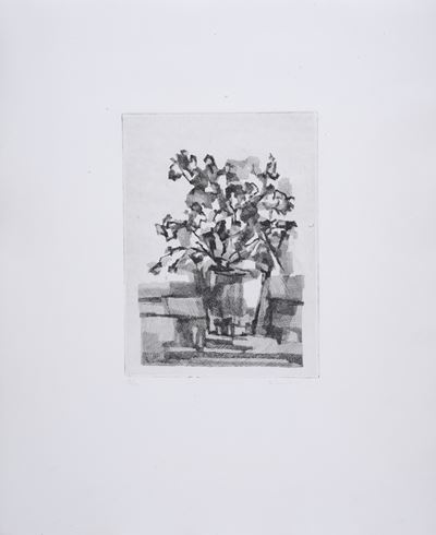 Fiori