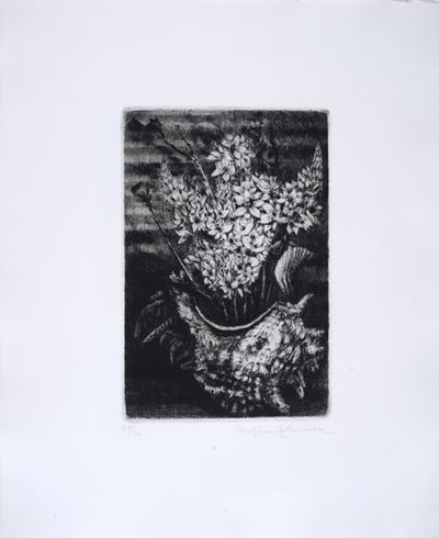 Fiori e Conchiglia