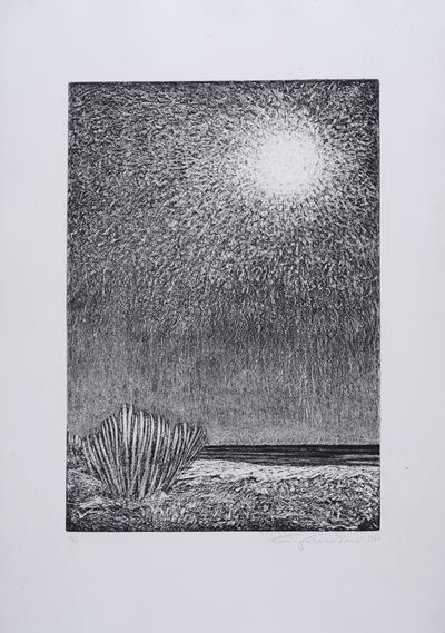 Sete di Sole