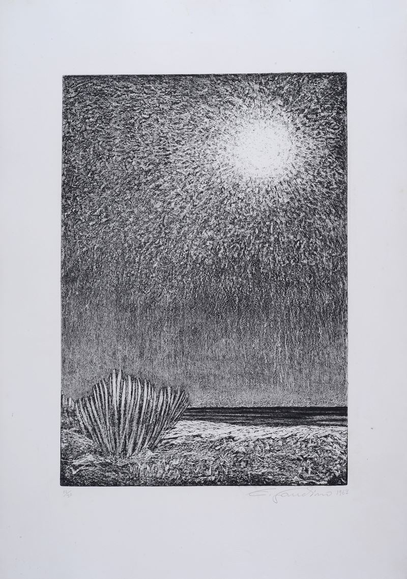Enrico Gaudino - Sete di Sole